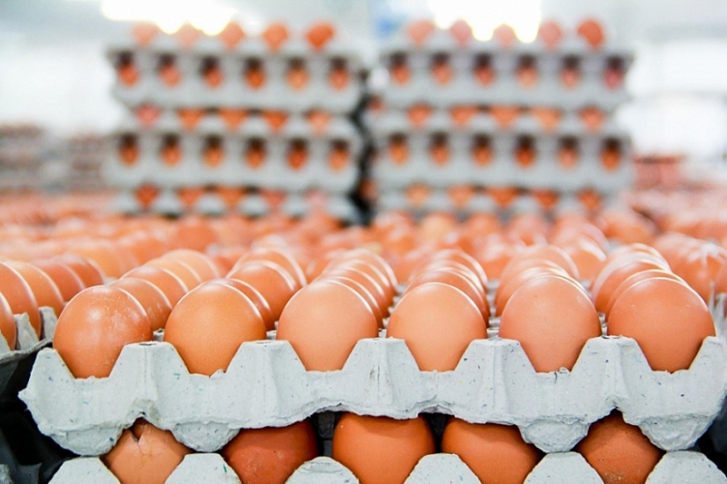 Hồng Kông bỏ lệnh cấm nhập khẩu trứng Việt Nam
