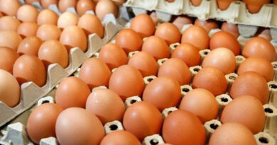 Lấy ý kiến Dự thảo Thông tư quy định hạn ngạch nhập khẩu trứng gia cầm năm 2024