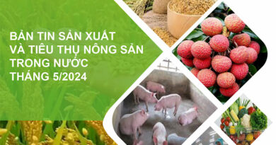 Bản tin sản xuất và tiêu thụ nông sản trong nước tháng 5/2024